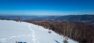 Kışın karla kaplı güzel bir manzara