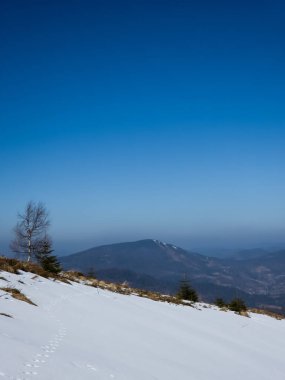 Karla kaplı ağaçlarla kaplı güzel dağ manzarası.