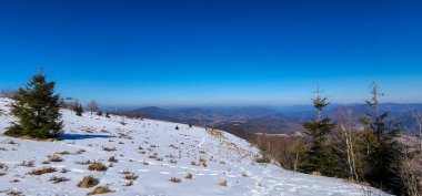 Ağaçlı güzel kış manzarası