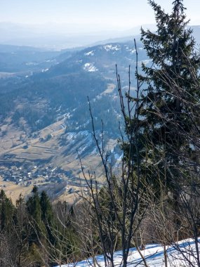 Karlı ve ağaçlı dağ manzarası