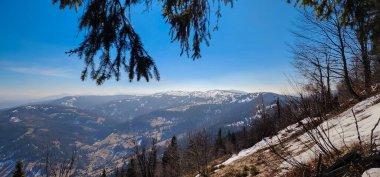 Bavyera 'daki Alpler' de bir dağ sırası olan kış manzarası