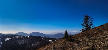 Perşembe Ormanı 'ndaki dağda kış yürüyüşü - Almanya