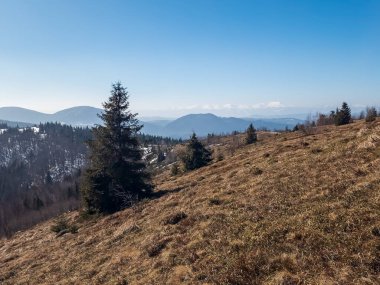 Doğanın güzel manzarası