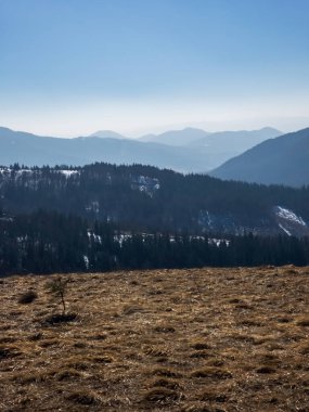 Güzel kış manzarası. Karpat Dağları