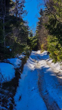 Ormandaki güzel bir karlı yolun dikey görüntüsü.