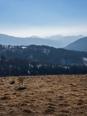 Dağları olan güzel bir manzara. seyahat arkaplanı