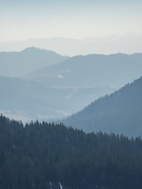 Bir dağ ormanının kış manzarası