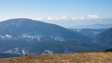 Ormandaki dağ sıraları