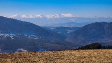 Karpatlar karla kaplı güzel dağ manzarası