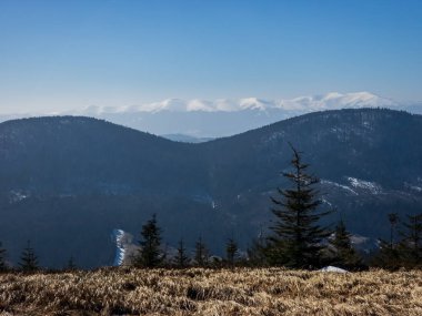 Karla kaplı ağaçlarla kaplı güzel dağ manzarası