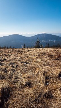 Sonbahar manzarası Vitoşa dağı, Bulgaria