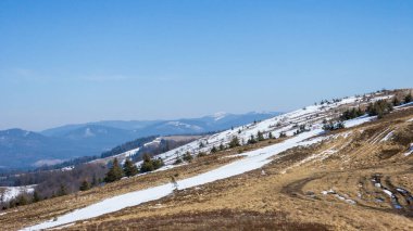Karlı ve ağaçlı dağ manzarası.