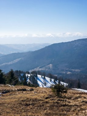 Ormandaki kar, ağaçlar ve dağ zirveleriyle muhteşem kış manzarası.