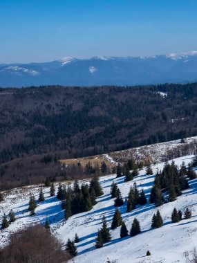 Bulgaristan 'ın Sofya Şehir Bölgesi, Vitosha Dağı' nın İnanılmaz Kış manzarası