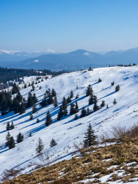 Vitoşa Dağı 'nın kış manzarası, Sofya Şehri Bölgesi