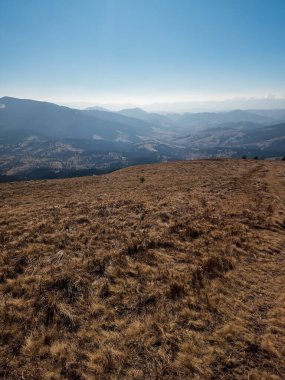 Güzel sonbahar yatay, renkli orman