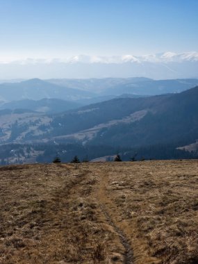 Güzel sonbahar orman manzarası