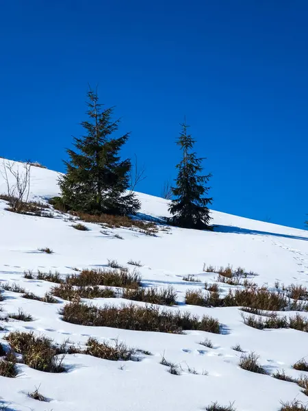 Kışın dağların güzel manzarası