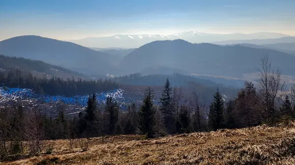 Güzel sonbahar manzarası sabah dağlarda