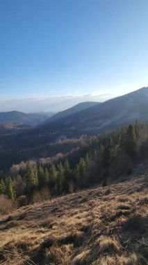 Ağacı ve dağı olan güzel bir manzara.