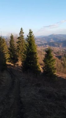 Dağlardaki ormanın güzel bir görüntüsü.
