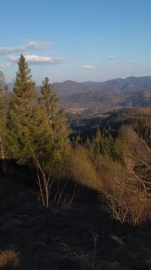 Doğanın güzel manzarası