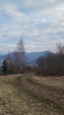 bir ağaç tarlası olan bahar manzarası