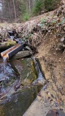 Ormanda güzel bir şelale