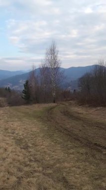 Arka planda ağaçlar ve tepeler olan manzara