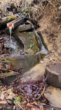 Ormanda güzel bir şelale