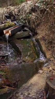 Ormandaki şelalenin dikey görüntüsü.