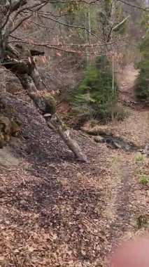 Doğanın güzel manzarası