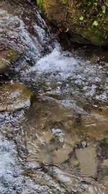 Su dağın içinde akan dere