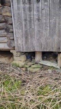 Köydeki eski ahşap ev.