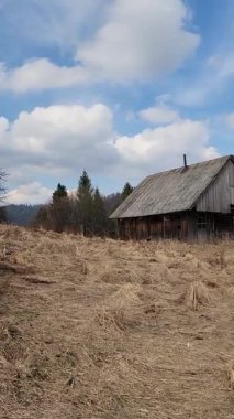 Orman ve bulutlu bir gökyüzü ile çevrili küçük bir evin dikey görüntüsü.