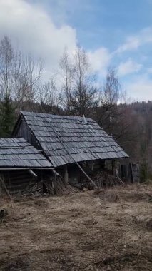 Ormanda terk edilmiş ahşap bir ev.