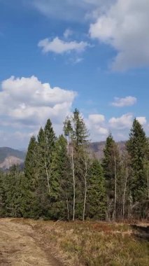 Ağaçlar ve dağlarla dolu güzel sonbahar manzarası