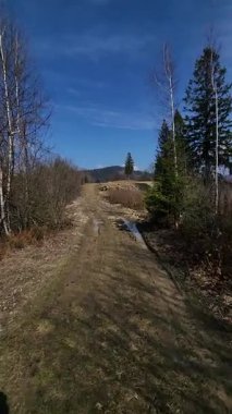 Ormandaki toprak yol