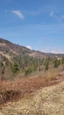 Dağlarda ormanı olan bir manzara.