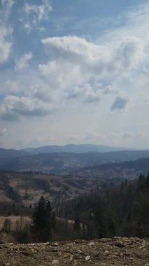 Dağları ve ağaçları olan güzel bir manzara.