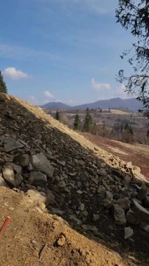 Dağlardaki ormanın manzarası