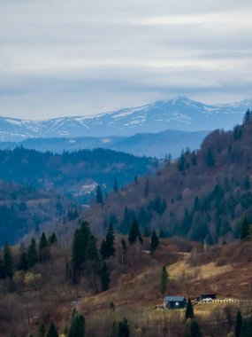 Karpatlar 'da dağların güzel manzarası