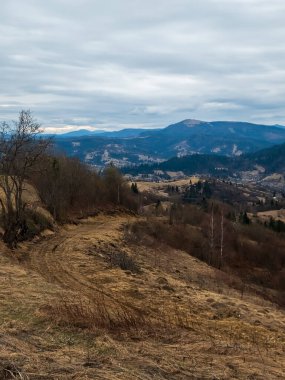 Dağları ve ormanı olan güzel bir manzara.