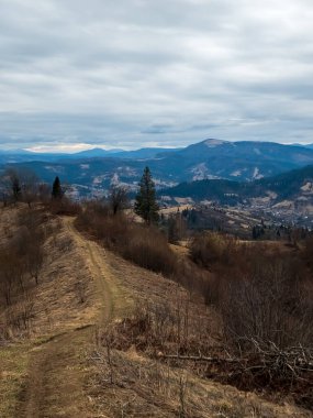 Üzerinde ağaç ve ahşap çit olan bir dağın dikey görüntüsü.
