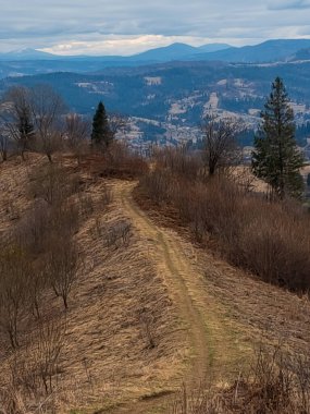 Ormanda dağ yolu olan güzel bir manzara.