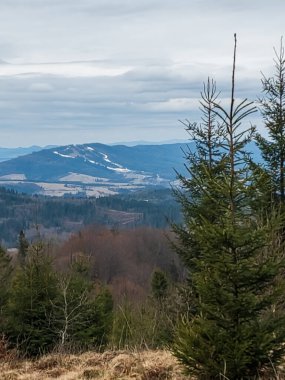 Dağlardaki güzel bir manzaranın manzarası