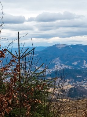Ağaçlar ve ormanlarla dolu sonbahar manzarası