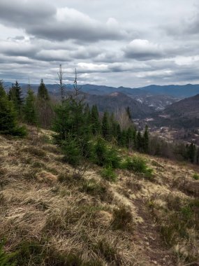 Dağlarla güzel bir manzara.