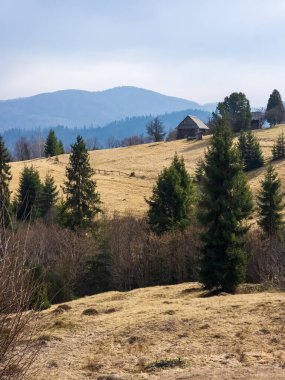 Karpat Dağları 'ndaki manzara