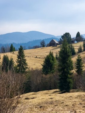 Karpatlar 'ın güzel manzarası.